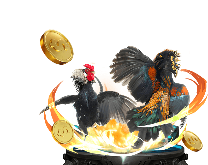 Cá cược Đá Gà trực tuyến j88 love